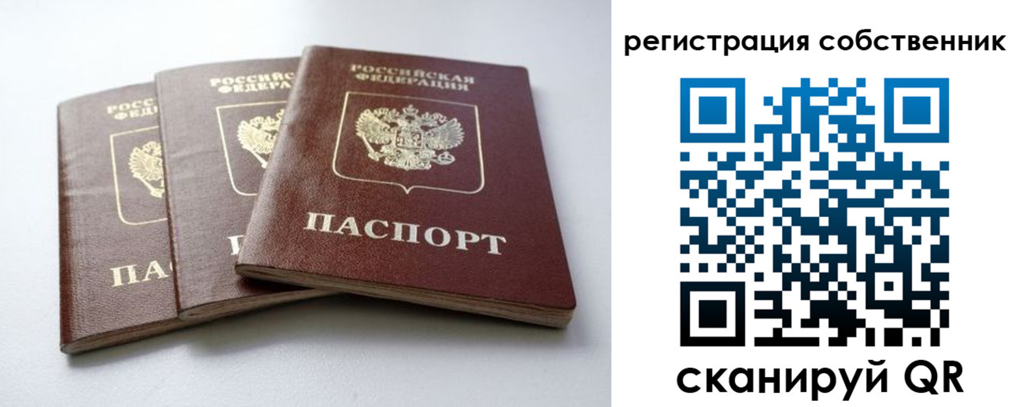 прописка для школы в Волчанске